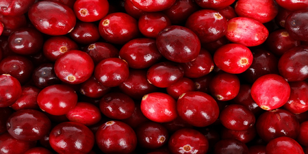 紅寶石般的夢幻水果：「蔓越莓」！9大驚人功效：增強免疫力、防癌又瘦身，吃到賺到！