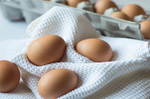 雞蛋＝膽固醇？到底可以吃幾顆蛋？答案終於揭曉！蛋的營養價值比您想的還要高！