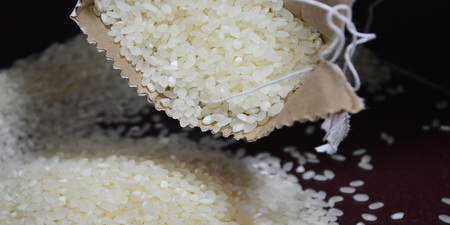 「白米」好還是「糙米」好？只吃米可甩6公斤肥肉？「營養真相」差很大｜每日健康Health
