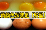 紅殼蛋、蛋黃紅就是「好蛋」？當心「色素」一同吃下肚！簡單兩撇步，從此遠離「染料蛋」！｜每日健康Health