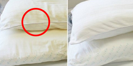 你天天和「螨蟲」細菌睡一起！婆婆媽媽必學「枕頭殺菌法」，一秒鐘讓床單、床墊回到「清清白白」原貌！