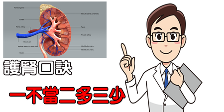 台灣「腎病人口」每年花費330億，記住口訣「一不當二多三少」保護腎臟｜每日健康Health