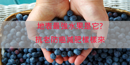 「花青素」之王！防癌護腸+減脂，身體業障就靠「藍莓」來消除！
