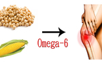 「Omega-6」才是關節炎凶手，拒吃「3種傷膝食物」保護膝蓋不求人｜每日健康