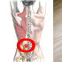 「藥」吃再多也不會讓「腰痛」痊癒!專家教你「3招」讓腰桿再度挺直|每日健康Health