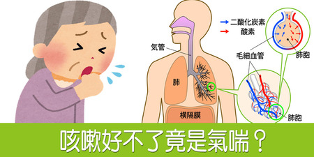 「久咳不癒」竟罹患「氣喘」！預防氣喘養成「三種習慣」最關鍵｜每日健康 Health