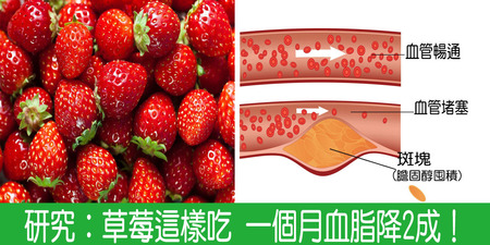 「草莓」這樣吃，一個月血脂「狂降2成」，竟然還能剷除肥肉、抗癌、治關節炎！｜每日健康 Health