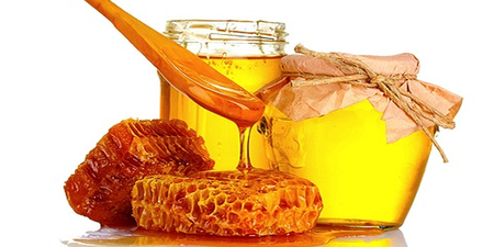 蜂蜜具有「殺菌、降三高、回春」等功用…根本是天然防腐劑！不可不知～蜂蜜驚人的 8 大效果！