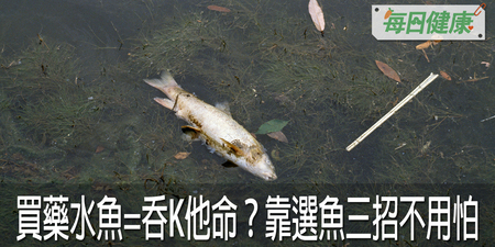 台灣的河川竟驗出K他命！專家：避開吃下藥水魚有三招請慎選｜每日健康 Health