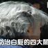 吃對了不用再染髮!4大營養素強韌髮質、白髮轉黑,外表年齡少10歲|每日健康 Health