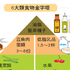最適合人類的飲食法則!地中海飲食4大重點照著吃,百種癌症都怕你|每日健康 Health