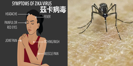 台灣出現首例「國人感染茲卡病毒」，全球67個國家已淪陷，不可不知的「十大防疫絕招」。