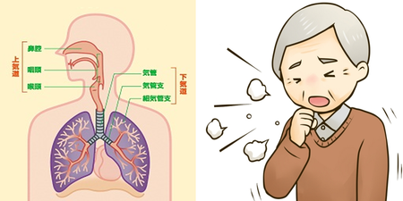 咳嗽、感冒不再是小事，呼吸道一併被感染‥引發『肺炎』機率超高—醫師送你一招制百病！