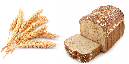 為什麼『全麥』麵包比白吐司好？3 大『小麥』功效，讓你以後想戒也戒不掉它～