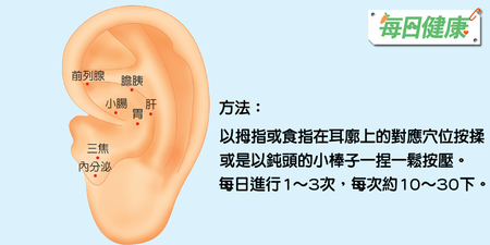 五臟六腑在「耳朵」皆有對應穴　按對了可助消化、降三高｜每日健康 Health