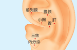 五臟六腑在「耳朵」皆有對應穴　按對了可助消化、降三高｜每日健康 Health