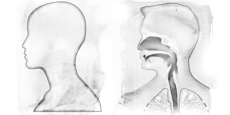 鼻腔裡面應該長什麼樣子？治療專家破解你常犯的「呼吸道」誤解