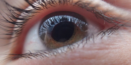 青光眼早期症狀難以察覺　務必遵守「3不原則」降眼壓預防退化