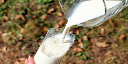 醫學博士的勸告：人不該喝「牛奶」的7個原因｜每日健康 Health