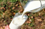 醫學博士的勸告：人不該喝「牛奶」的7個原因｜每日健康 Health