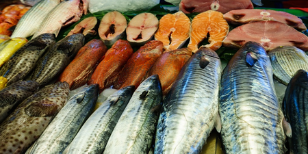 美研究指出「4種魚類、3種吃法」不僅能降血壓，還能抑制心血管病