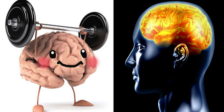 記憶力越來越差，越來越「健忘」了嗎？多吃這幾種食物可以幫助大腦「排毒」、「預防老化」 還能「提高注意力」，讓您「頭好壯壯」！
