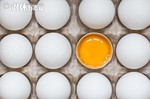 食安快訊：雞蛋藏乃卡巴精傷身？