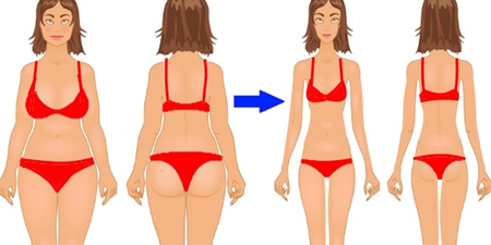 減肥哪有這麼難！「不運動減肥法」徹底改變體質，四大飲食法則讓你越吃越瘦！