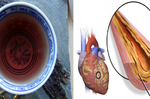 日本人的長壽秘方：10分鐘煮出「紫色養心茶」，一杯擊敗哮喘、中風和「動脈硬化」！