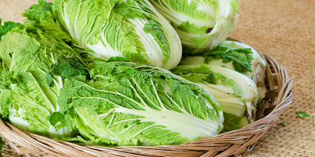 超抗癌「大白菜」：高纖、降膽固醇又養顏美容！「這樣煮」最營養，便秘、高血壓更要吃！