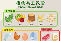 這樣「吃」可以救地球！植物性飲食：一半蔬果、蛋白質以豆類為先