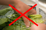 用「鹽水」洗菜吃進更多農藥？三種「錯誤洗菜法」大破解，蟲卵、農藥全都被你吞下肚！