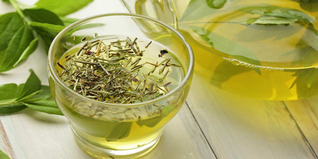 綠茶不只抗癌，最新研究：綠茶中的「多酚類化合物」能挽救「骨髓性疾病」患者性命！｜每日健康Health