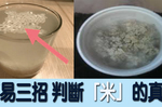 黑心「塑膠米」驚傳流入市面？免驚！簡單三招輕鬆分辨米的「真假」！｜每日健康Health