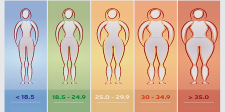「BMI」越高越短命？你被廣告騙太久的「四大迷思」，真正要看的數字是這個｜每日健康Health