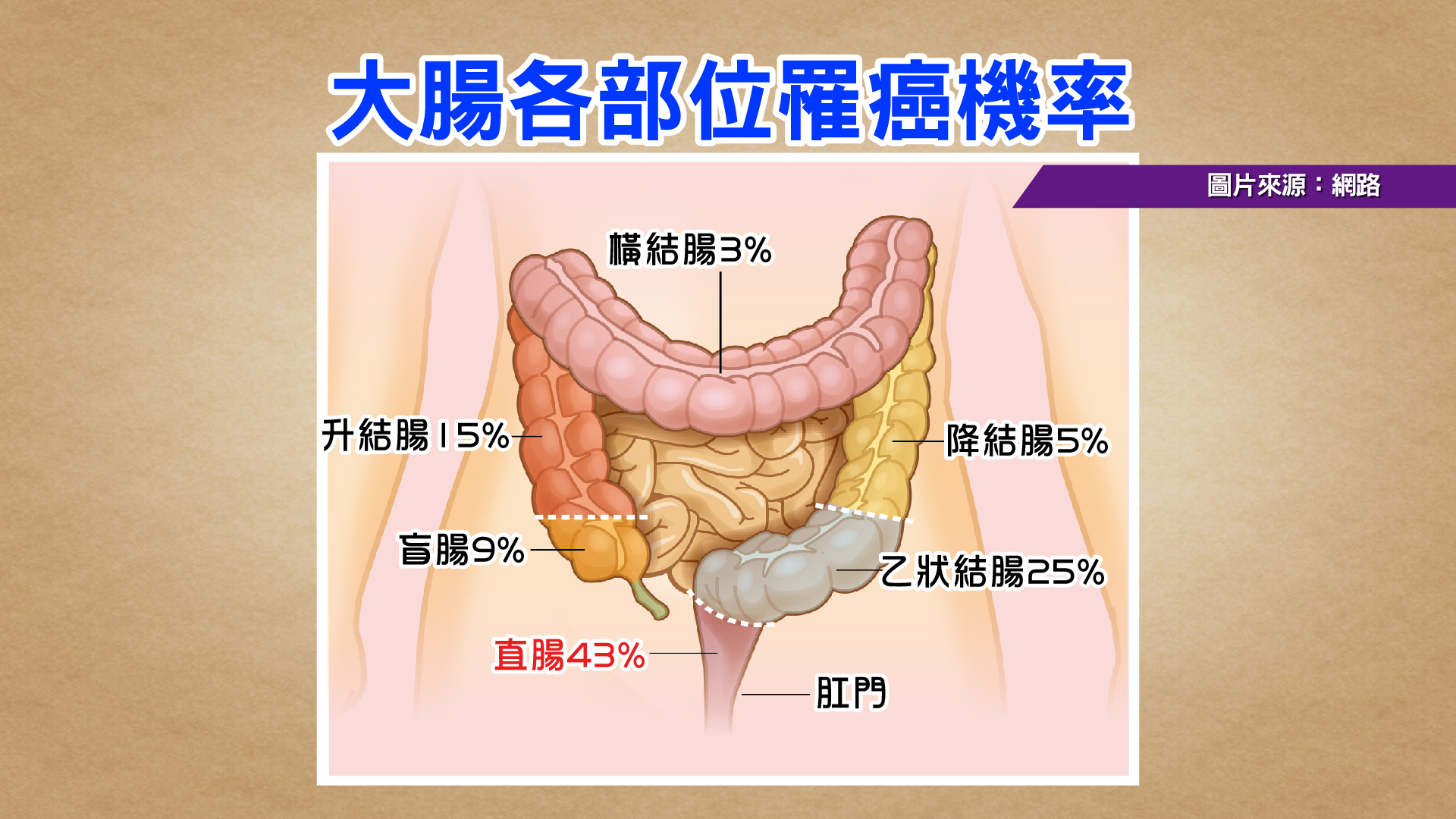 圖/TVBS提供