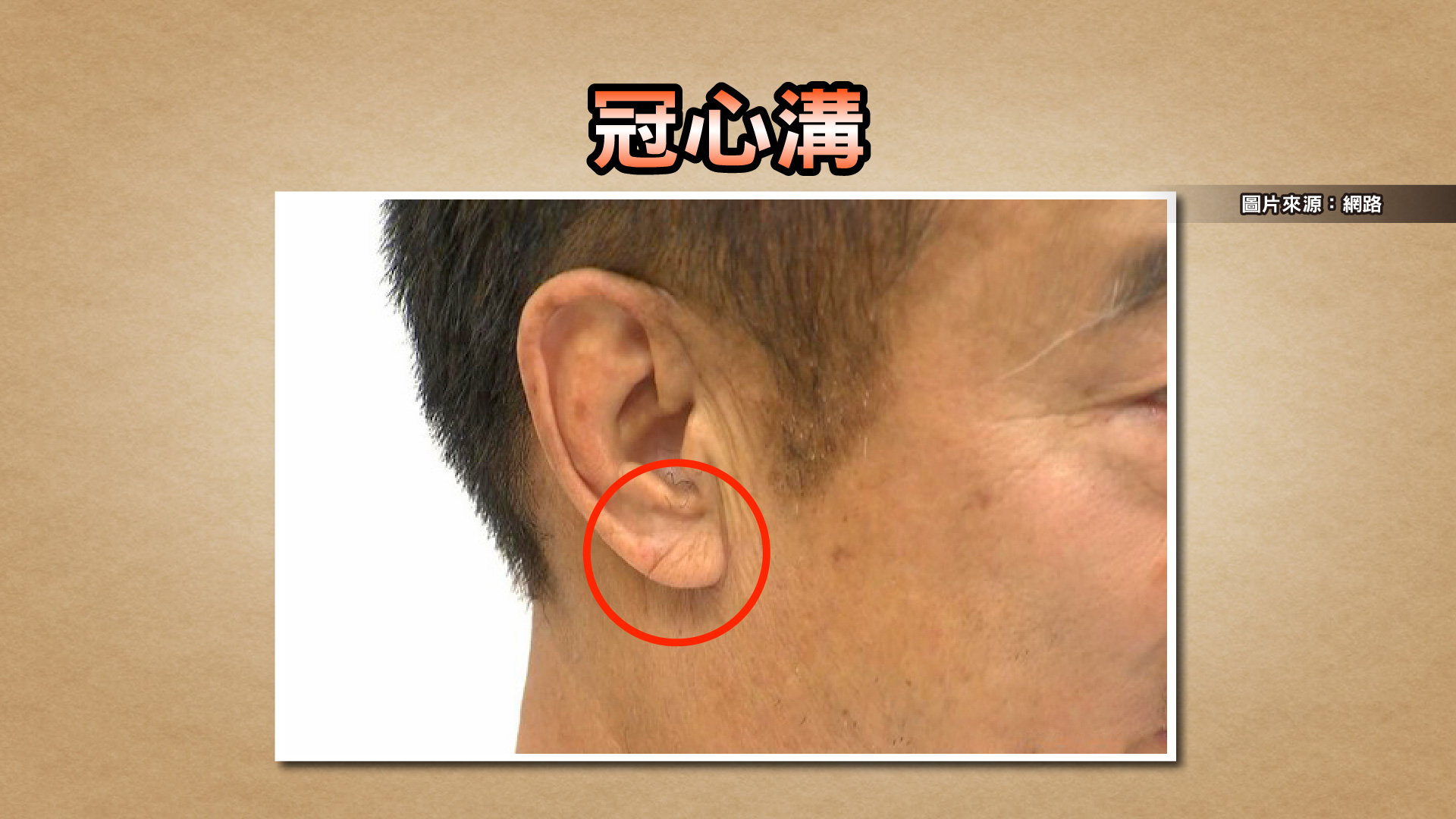 圖/TVBS提供