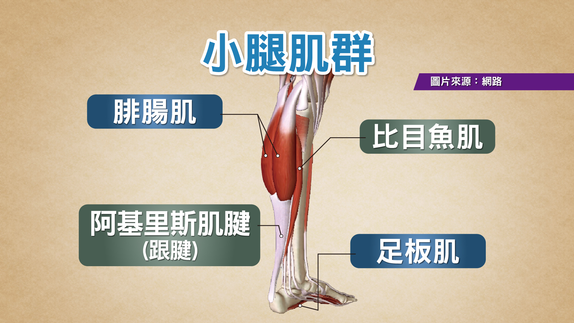 圖/TVBS提供