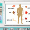 【糖尿病照護三分鐘報你知】洗腎病人有一半是因為糖尿病？自在診所林款帶醫師