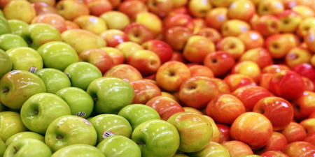 一日三蘋果「肥胖」遠離我！營養師自創「蘋果減肥法」12周甩肉7.5公斤，瘦身效果超群！