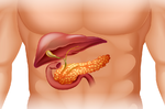 沉默器官：「胰臟」若出問題，血糖跟著爆走！吃這「5種食物」，健康沒「胰」慮！