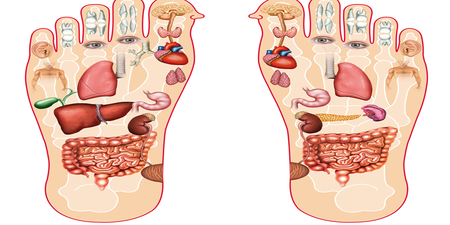 「腳是人的第二個心臟」！肝、胃、胰、脾健康與否，看腳就知。「腳部玄機」大解析！