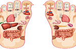 「腳是人的第二個心臟」！肝、胃、胰、脾健康與否，看腳就知。「腳部玄機」大解析！