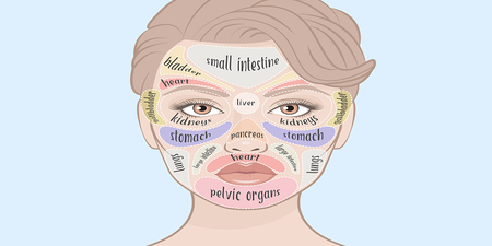 中醫都說：腎、肝、心、胃若不好，看臉就知道！「臉部玄機」大揭密！