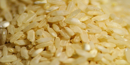 飯桌上的絕世大對決！「白米」對上「糙米」到底哪個較健康？不可錯過的米知識！