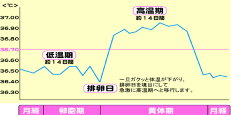 為了和女性荷爾蒙能好好相處♪女孩們都要知道～基礎體溫的基本小知識♡