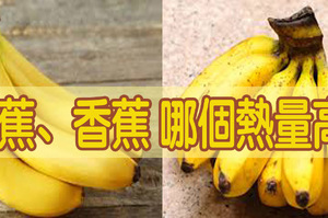 【減重族必看】芭蕉、香蕉熱量大PK：吃它竟然會「熱量爆表」？｜每日健康Health