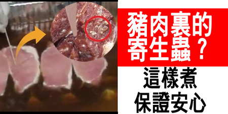 豬肉裡的「寄生蟲」？「四種方法」消滅「豬旋毛蟲」安心吃豬肉！｜每日健康Health