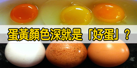 紅殼蛋、蛋黃紅就是「好蛋」？當心「色素」一同吃下肚！簡單兩撇步，從此遠離「染料蛋」！｜每日健康Health