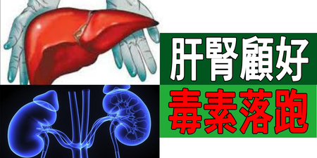 「肝、腎」保養好，「排毒、解毒」五臟自保！「五種防毒食物」解毒力直線上升！｜每日健康Health